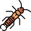 Earwigs