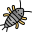 Silverfish