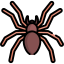 Spiders